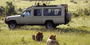 safari land cruiser