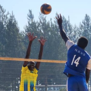 Volleybalvelden